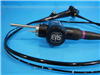 Olympus Bronchoscope BF-XP160F Evis Exera 945876