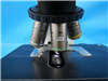 Nikon Microscope Eclipse 50i 950113
