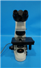 Nikon Microscope Eclipse 50i 952940