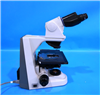 Nikon Microscope 952940