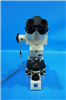 Zeiss Microscope Axioskop 952931