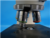 Zeiss Microscope Axioskop 952931
