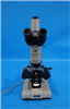 Nikon Microscope 952946