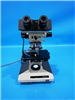 Olympus Microscope BH-2 952934