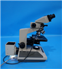 Olympus Microscope 952934