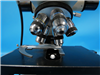 Olympus Microscope BH-2 952934