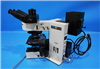 Olympus Microscope 952935